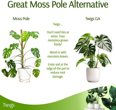 Stackable Monstera Plant Support Stakes