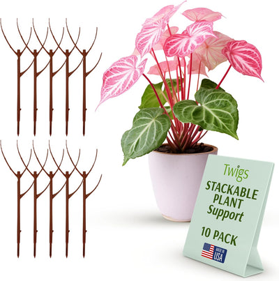 Stackable Monstera Plant Support Stakes