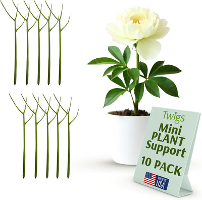 Stackable Monstera Plant Support Stakes