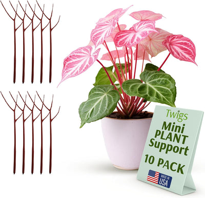 Stackable Monstera Plant Support Stakes