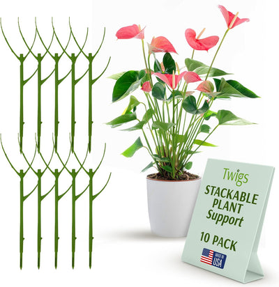 Stackable Monstera Plant Support Stakes