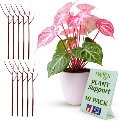 Stackable Monstera Plant Support Stakes