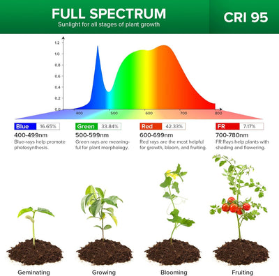 LED Pot Clip Grow Light with Timer & Dimming