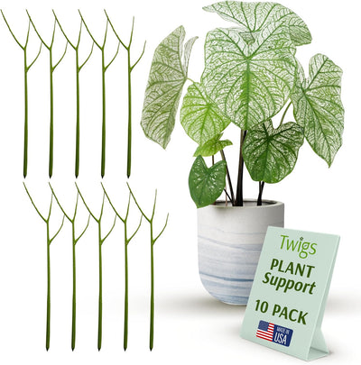 Stackable Monstera Plant Support Stakes